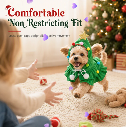 Star outfit for small dogs